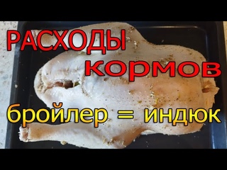Расходы корма на бройлера и индюка