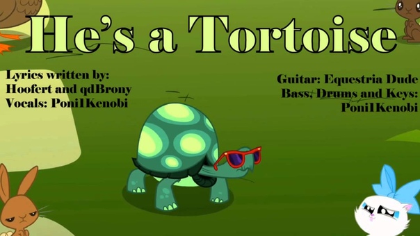 Hes a Tortoise ( Shes a