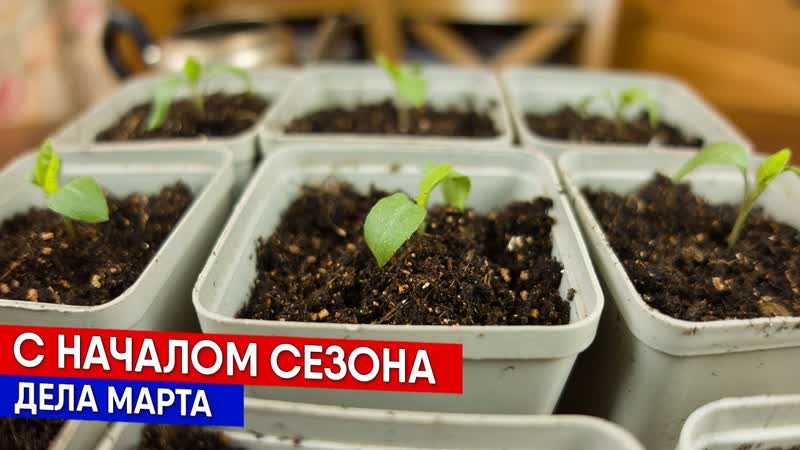 С началом сезона дела
