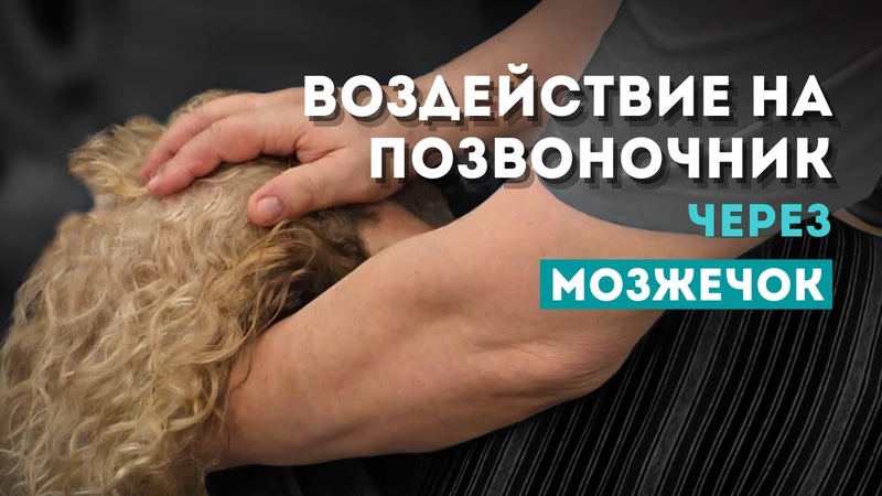 Воздействие на позвоночник через работу с мозжечком.