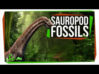 Two New Sauropods Generate Excitement and Controversy | SciShow News
