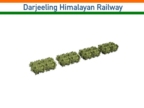 DHR2 Tea Garden Spline 01